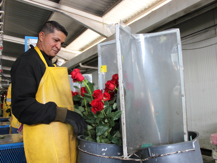 Some workers are even able to send their children to a nursery, pre-kindergarten, elementary, and middle school program that Elite Flower provides.