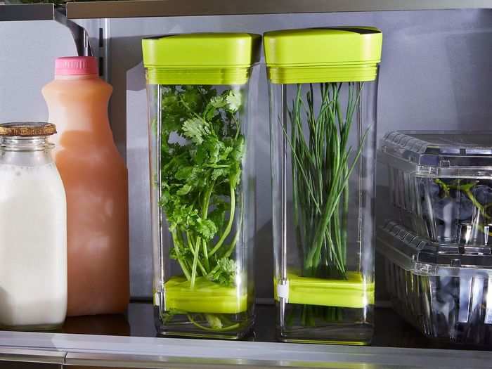 Herb storage containers that fit in refrigerator doors