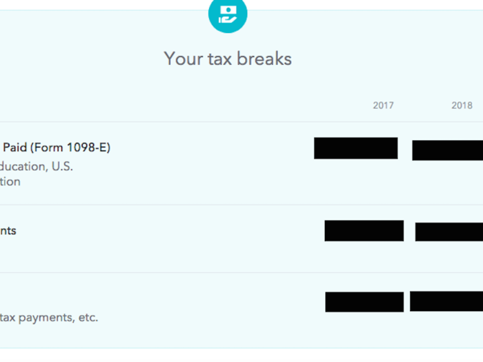 In 2018, I used the majority of my freelance income to pay off the student loan that is a smaller amount. This also made it so that in my taxes I can report even more money paid in interest.