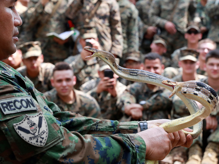 An instructor handles non-venomous snakes.