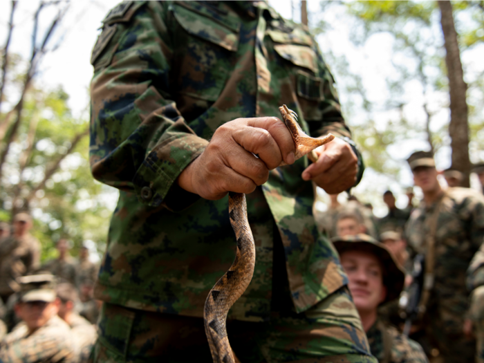 Instructors show Marines how to identify venomous and non-venomous snakes.