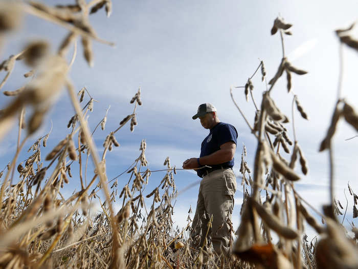 Michigan Agricultural Commodities