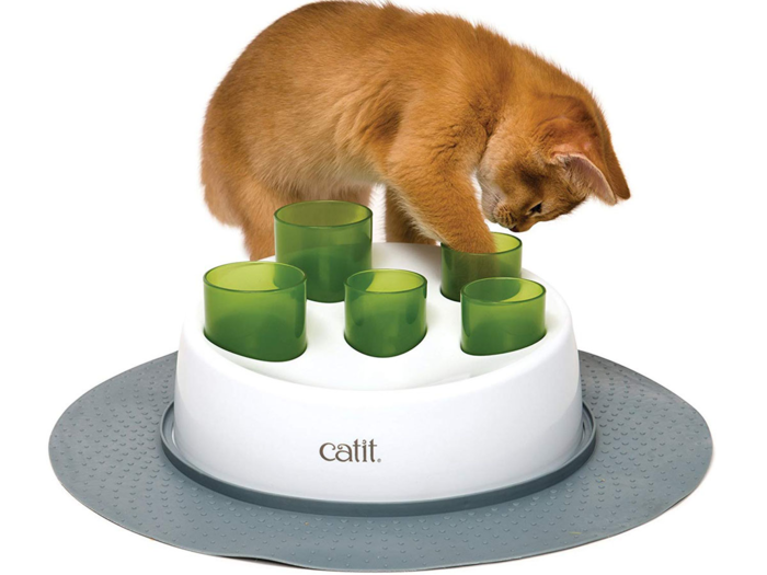 The best cat feeder for feline entertainment