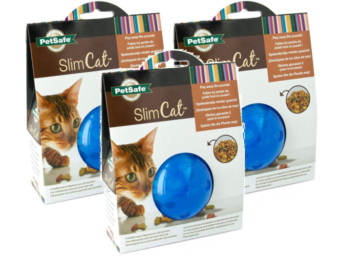 The best cat feeder for multi-cat homes