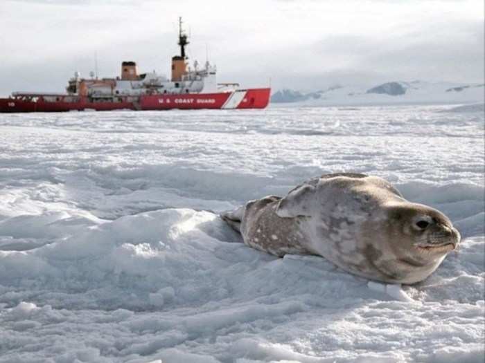 The Coast Guard has been pushing to start construction on a new heavy icebreaker for some time, setting up a joint program office with the Navy to oversee the effort. Funding the new ship had been held up in Congress, but lawmakers recently approved $655 million to start building a new one and another $20 million for materials for a second.