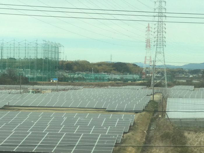 One of the things I noticed as I looked out the window were the rows and rows of solar panels...