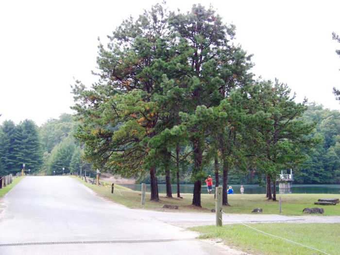 "[Beckley] has a three-mile paved rail trail known as the McManus Trail that runs through the heart of the city for hiking and biking," she added.