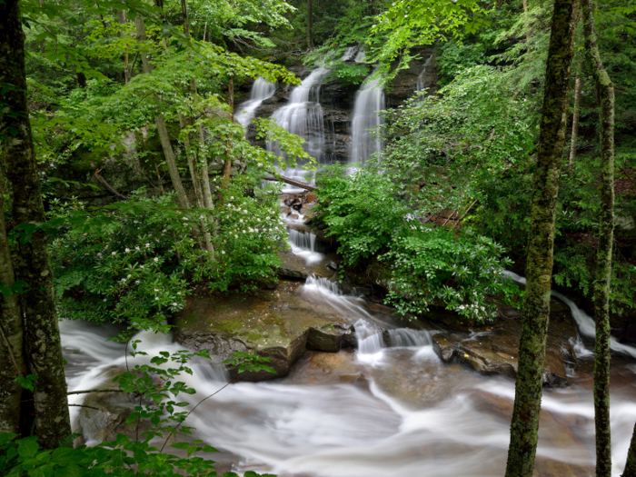 "Active south West Virginia offers many free activities to involve the community in exercise and healthy living," Moorefield said.