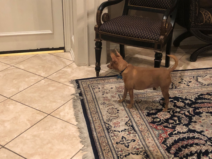 After the gym, Caballero heads back home, typically arriving around 6:15 p.m. His dog, Sammy, anticipates his arrival as he hears the garage door open.