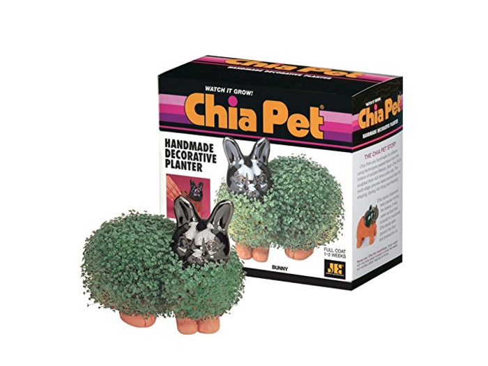 The Chia Pet — clay figures filled with water and coated in seeds that sprout greenery — is a cultural icon. You can buy a chia pet of a dog, cat, bunny, or even the president. The company sells 500,000 every holiday season. At $16 a piece, that means millions of dollars every year.