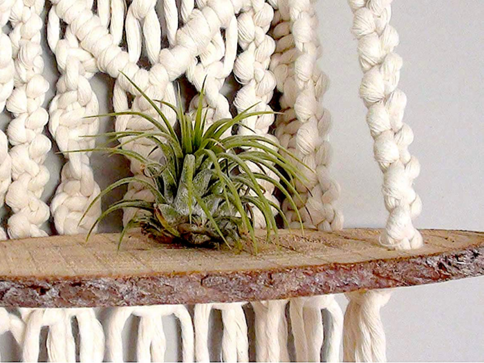 A macrame hanger that is chic, sturdy, and one-of-a-kind