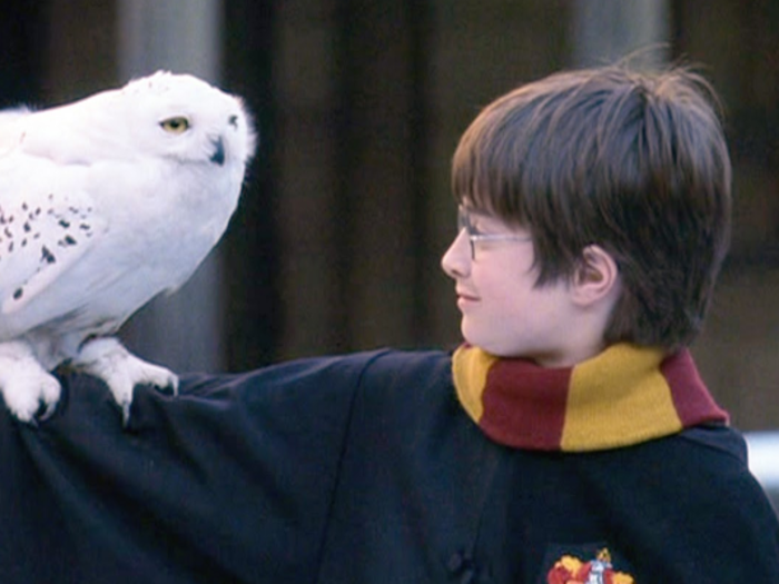 The full story of "Harry Potter: Wizards Unite" might take years to tell.