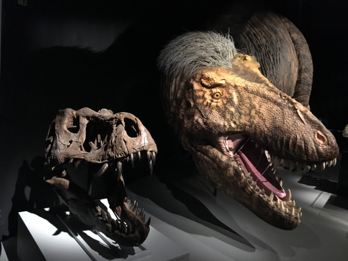 The T. rex was also a cannibal.