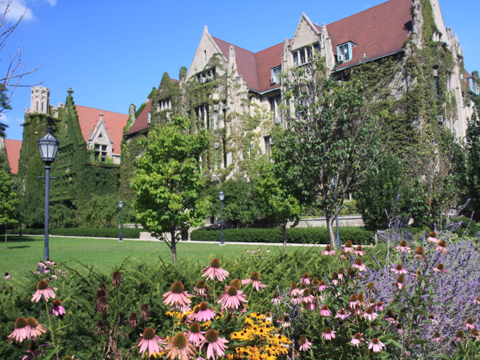 3: University of Chicago