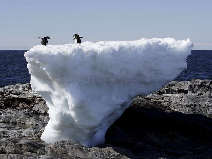 Warming oceans are also leading to unprecedented Arctic and Antarctic ice melt, which further contributes to sea-level rise. In the US, 17% of all threatened and endangered species are at risk because of rising seas.