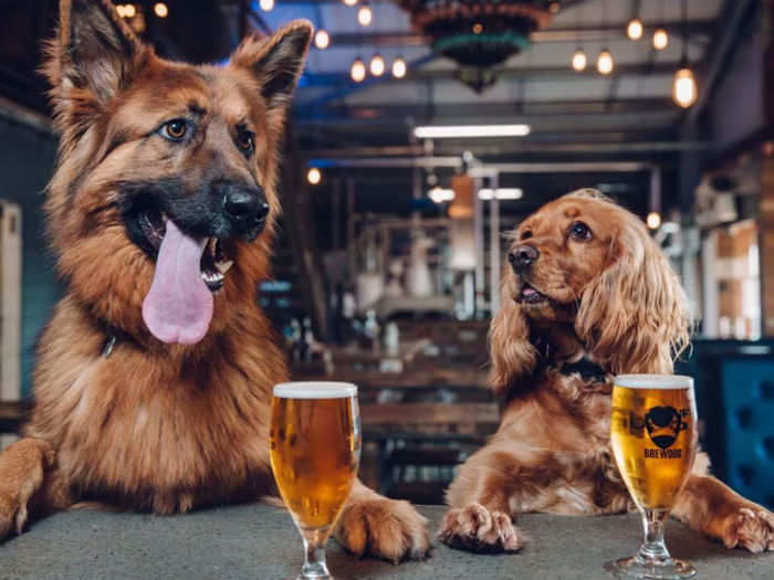 BrewDog