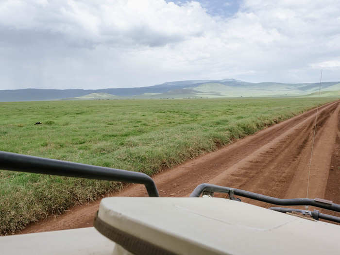 There are so many variations in climate and altitude in Ngorongoro that it has produced a variety of overlapping habitats, including grasslands, forests, woodlands, and moorlands. The clouds seem to hug the top of the crater like a lid.