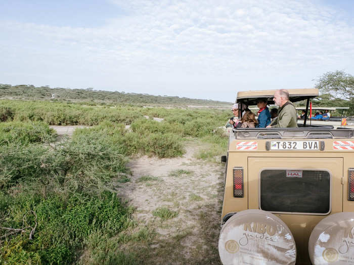 The following morning, we were due to drive into Ngorongoro Crater, but first, we drove around the Ndutu area a bit more.