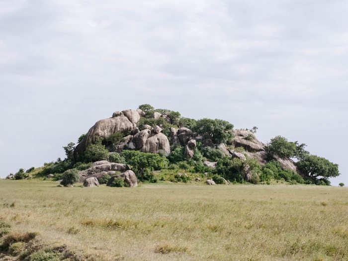 One of the most popular tourist sites in the Serengeti is Simba Rock.