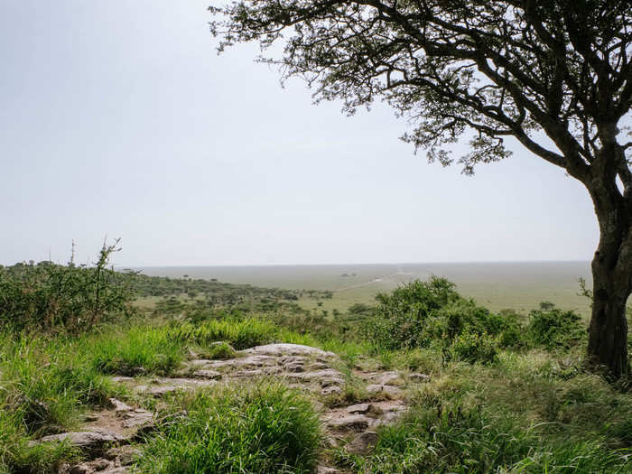 The Serengeti comes from the Maasai word "Serenget," which means endless plains.