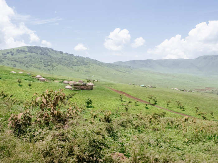 Many Maasai now live in villages throughout the highlands of the Ngorongoro Conservation Area. The temperatures dropped in the highlands and the landscape turned to a deep, rich emerald.