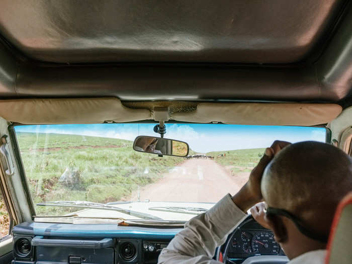 We drove through many lands inhabited by Maasai, a local ethnic group of about 1 million living in Tanzania and Kenya. Many Maasai used to live in Ngorongoro Crater, but the government forced them to relocate to the surrounding areas, where you can see them leading herds of cattle.