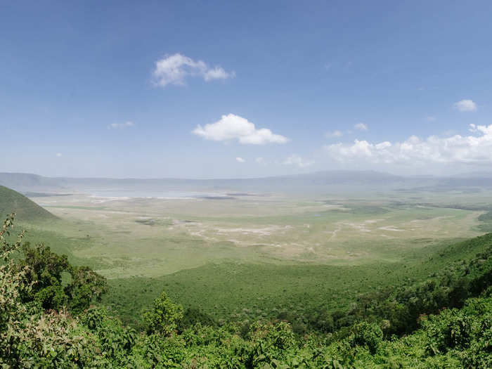 Safari is a Swahili word meaning "journey," the significance of which Nnko drove home when he told us we