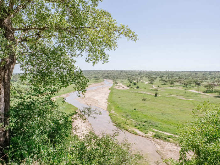 The picnic spot overlooked the Tarangire River, which bisects the park. Most people focus on seeing big game like lions or elephants on safari, but the natural beauty is perhaps even more majestic.