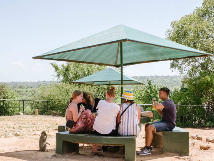 After a few hours of driving, it was time to stop for lunch. Eating was mildly hazardous thanks to a troop of vervet monkeys that hang out at the picnic area waiting to steal sandwiches from unsuspecting tourists.