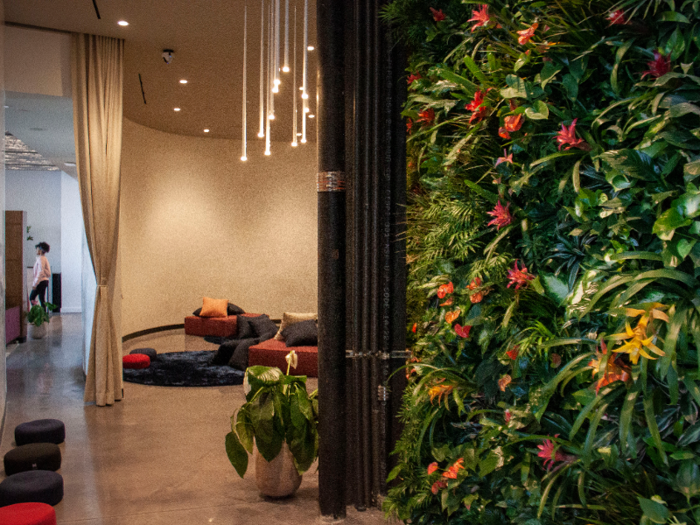 The other side of the living plant wall made this part of the lounge feel particularly tranquil.