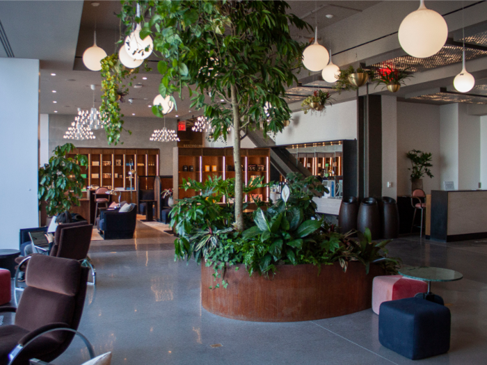 The greenery in the space, combined with one entire wall of windows, really gave the lounge a calm, serene vibe. It was noticeably quieter than just outside in the bustling shopping center.