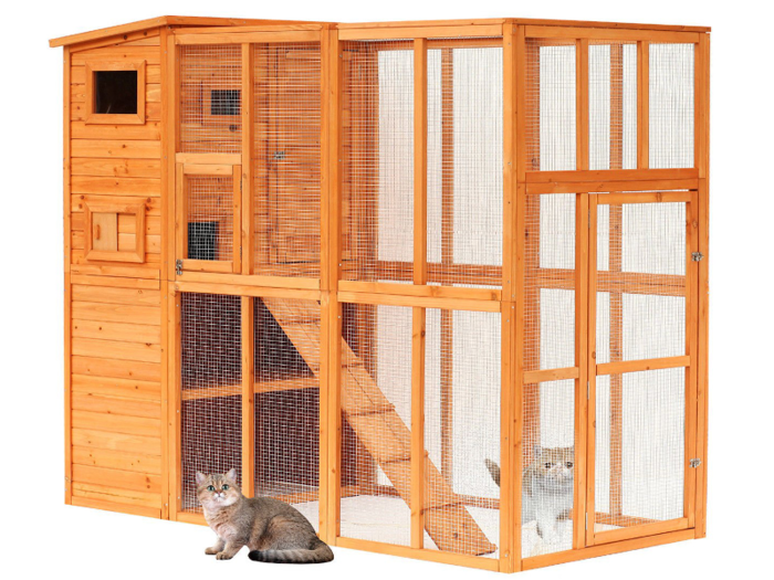 The best outdoor cat enclosure