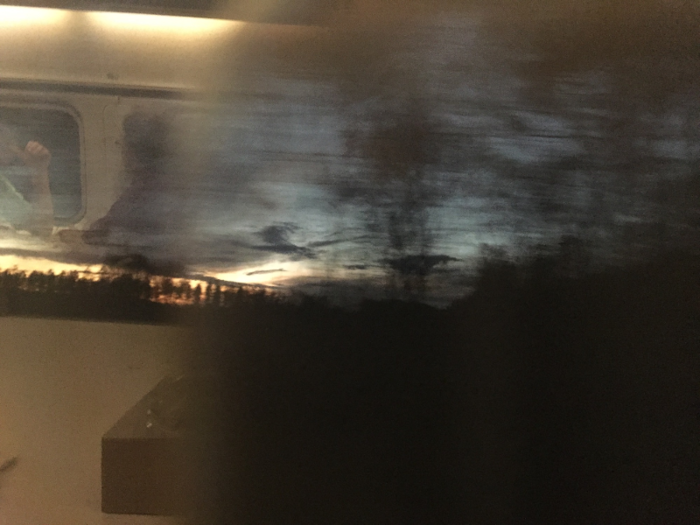 Later on, I made an unsuccessful attempt to take an artsy pic of the window. The reflection of my fellow passengers was blurring with the forest outside.