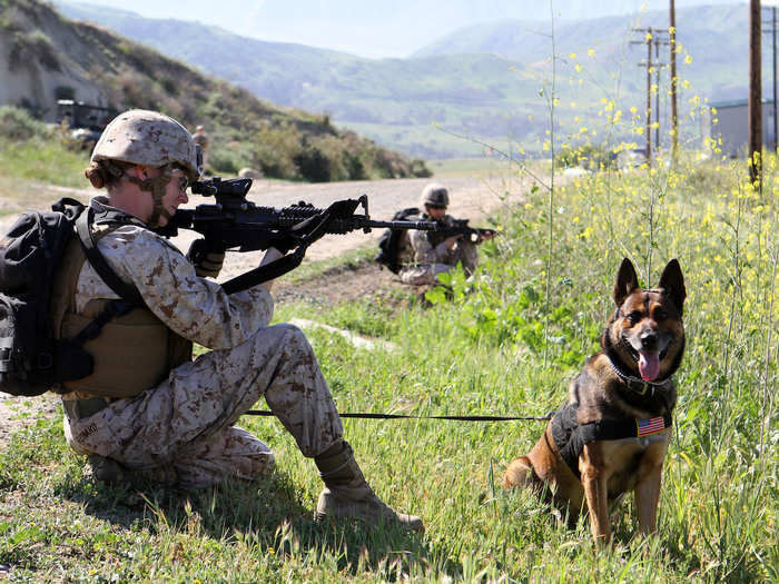 “When you and your dog deploy, there should be confidence in everything you do,” Herbert said. “If you’re on patrol with an explosive detector dog, not only do you have to trust to follow him, but the unit also has to be able to trust you and your dog because they are going to follow every step that you take.”