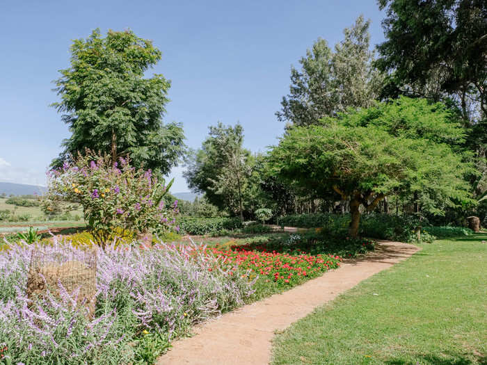 The entire property around the farmhouse is full of flowers and trees, making it the perfect place to take a relaxing stroll after four days of safari driving.