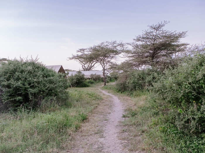 Ndutu Kati Kati is even more in the bush than Burunge. On the floor of the valley below the camp, I saw many wildebeest grazing. At night, I was sure I heard a large predator — like a leopard or a lion — rustling past our tents.