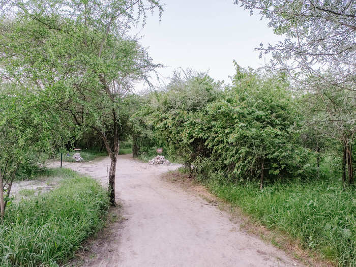 Guests stay at one of the numerous private huts down this walkway. Depending on which pavilion you get, it could be a quarter-mile away or more. Walking between the main pavilion and your hut alone after dark isn