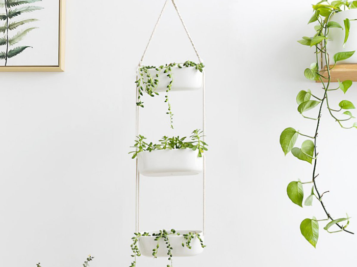 The best herb garden for indoor decor