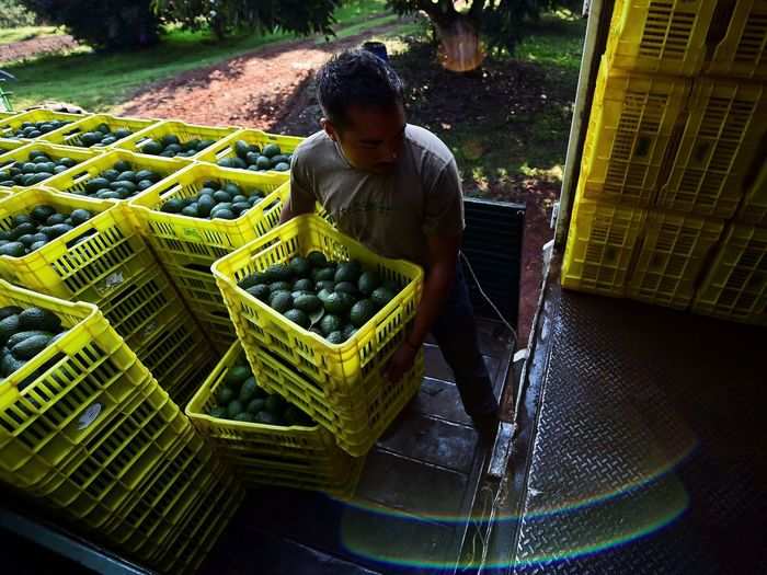 If the Trump administration closes the border without keeping truck lanes open, the US economy will feel the strain almost immediately, and food prices could spike.