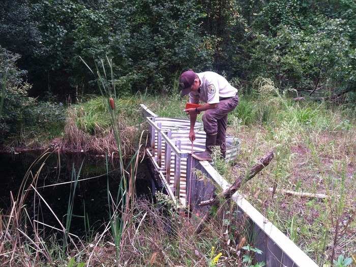 25. Hydrologists research the distribution, circulation, and physical properties of underground and surface waters