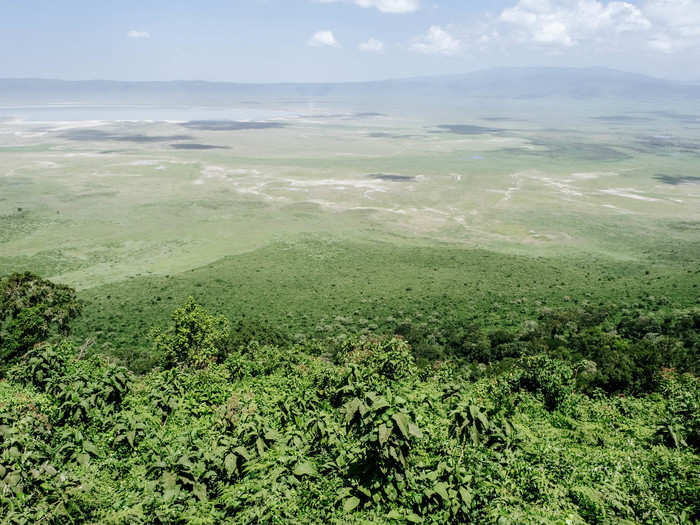 The crater is famous for its population of critically endangered black rhinos.