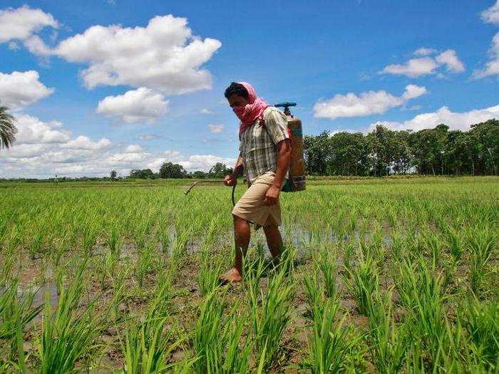 Other toxic pollutants come in the form of fertilizers, pesticides, and insecticides that are used for ranching or farming and can accumulate in soil.