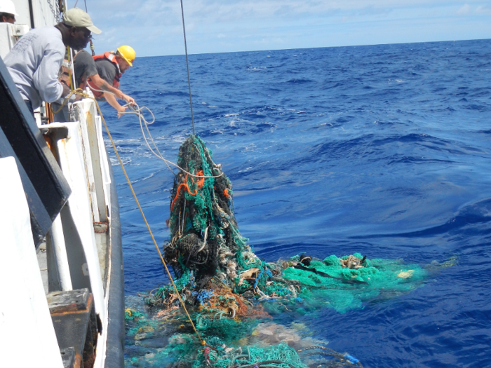 These plastics accumulate in polluted patches of the ocean like the Great Pacific Garbage Patch.