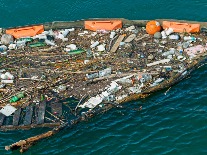 Hawaii was the first state to ban plastic bags in the US.