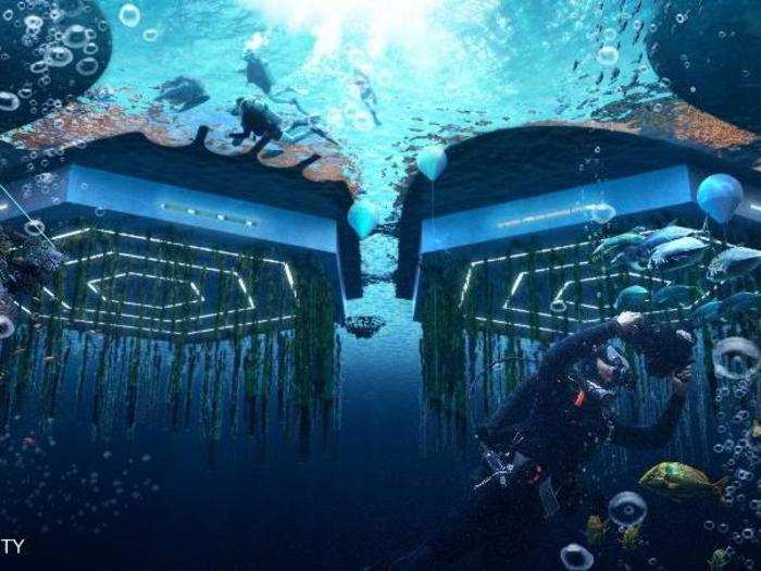 The concept calls for "ocean farming," which would involve growing food beneath the surface of the water.