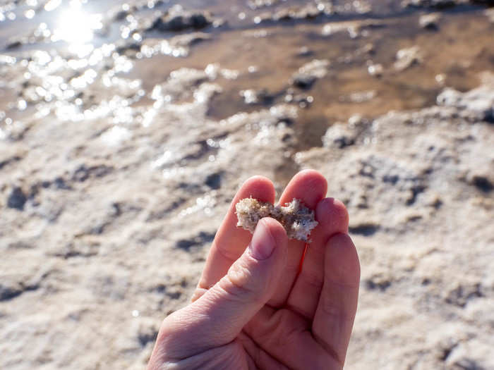 The shores of the lake are full of these large salt crystals.