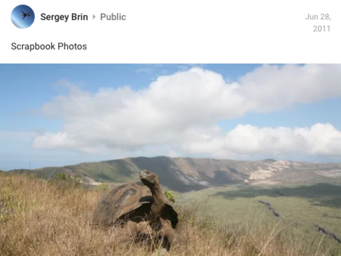 Like many visitors to the Galapagos, Sergey Brin was fascinated by the giant sea turtles that roam the islands.