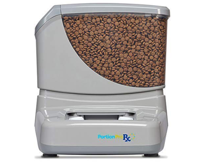 The best automatic feeder for multi-pet homes