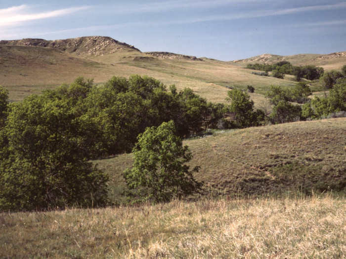 Kansas and North Dakota are home to national grasslands but no national forests.