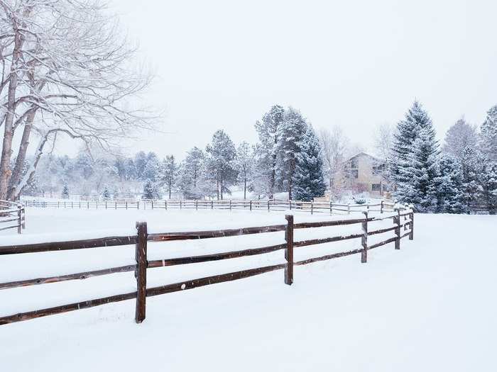 Colorado joined the compact in February 2019, and will give its 9 electoral votes to the popular vote winner.